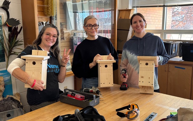 January Workshop: If they come, they will build it