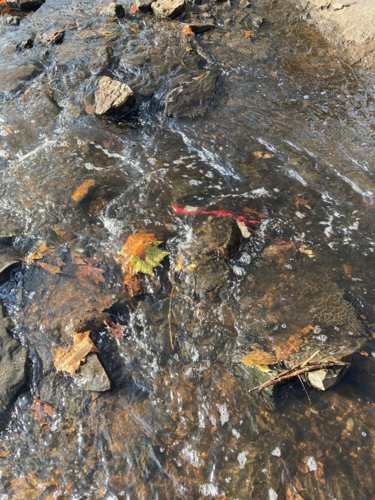 Water flowing in Brush Creek
