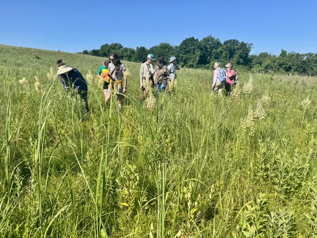 Capstone Report:  Prairie Tour an Absolute Hit